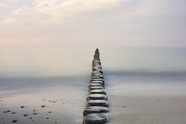 Understanding Stress in the Body: A Guide for Direct Support Professionals | My Holistic Lifestyle, LLC